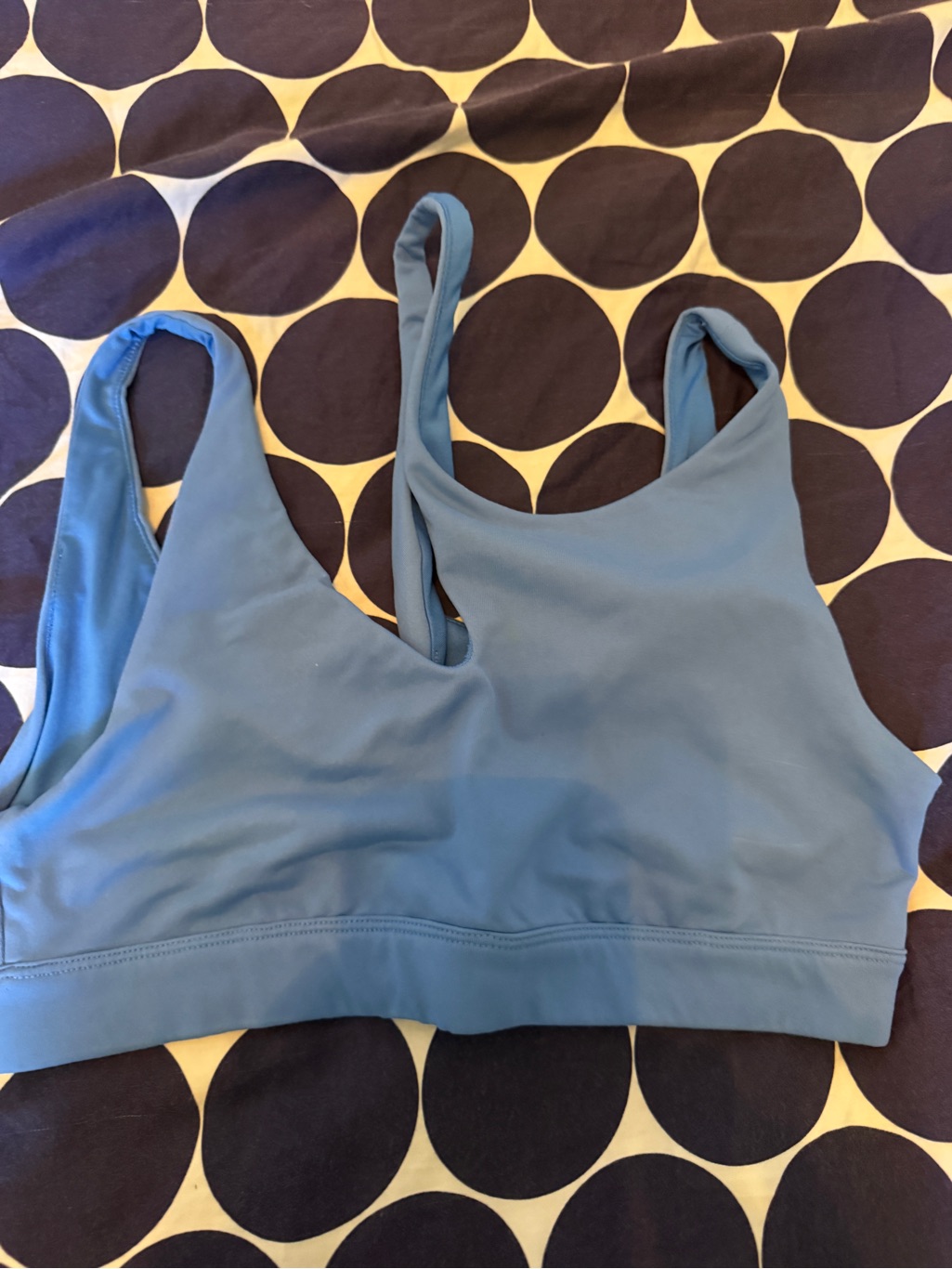 Alo Blue Peak Bra